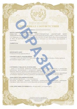Образец Сертификат СТО 01.064.00220722.2-2020 Березовка Сертификат СТО 01.064.00220722.2-2020 